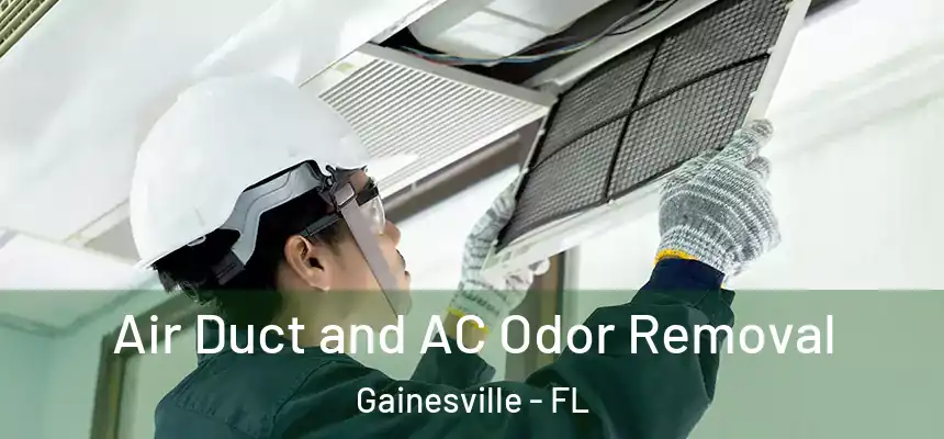  Air Duct and AC Odor Removal Gainesville - FL