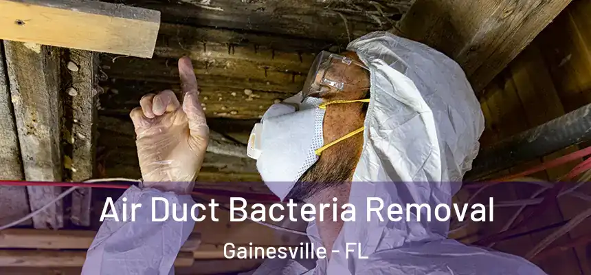 Air Duct Bacteria Removal Gainesville - FL