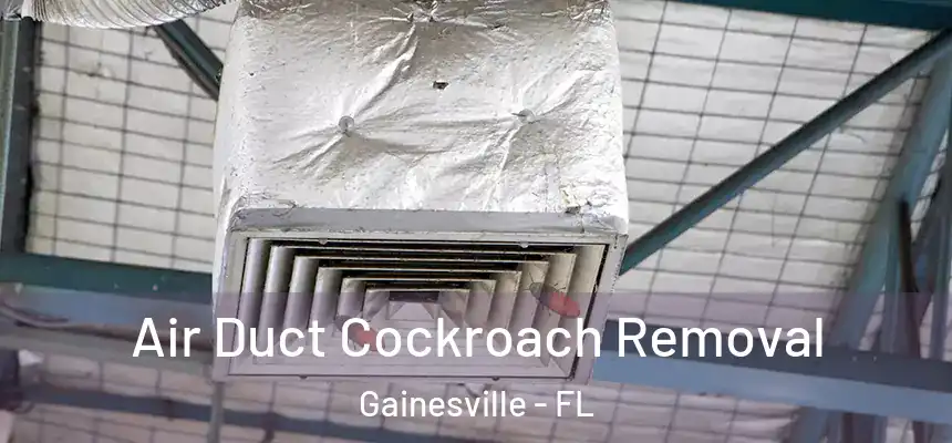 Air Duct Cockroach Removal Gainesville - FL