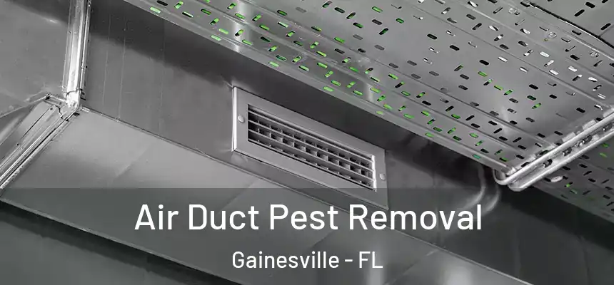 Air Duct Pest Removal Gainesville - FL