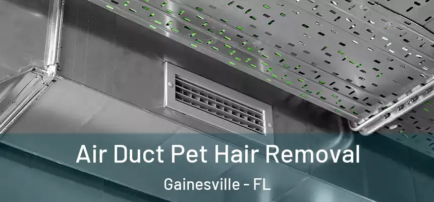 Air Duct Pet Hair Removal Gainesville - FL
