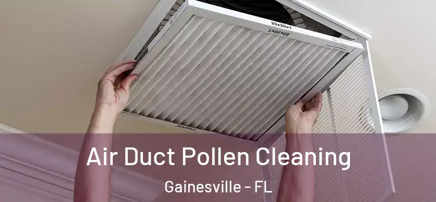 Air Duct Pollen Cleaning Gainesville - FL