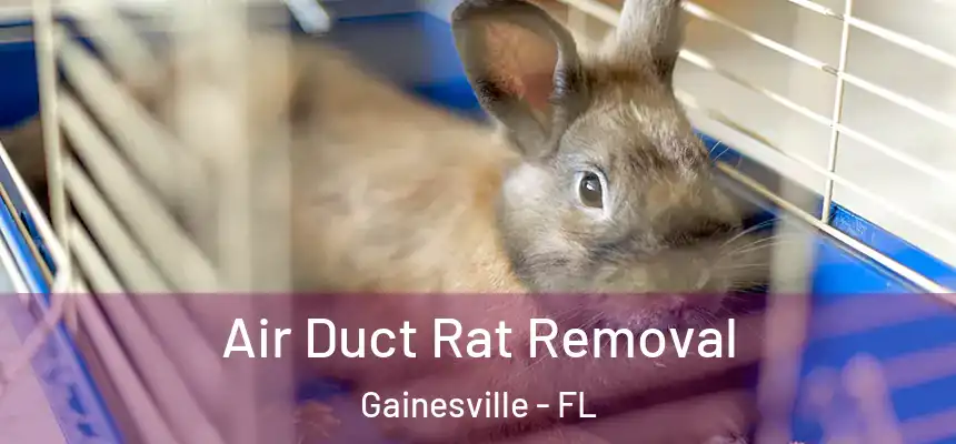 Air Duct Rat Removal Gainesville - FL