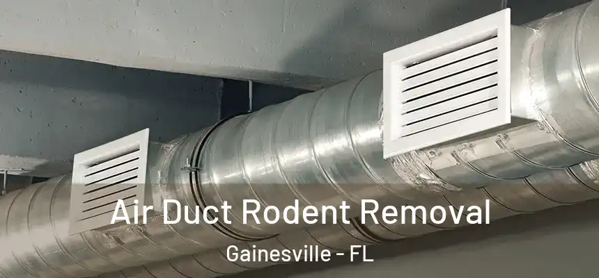 Air Duct Rodent Removal Gainesville - FL