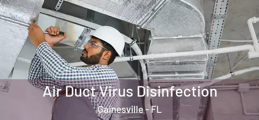  Air Duct Virus Disinfection Gainesville - FL