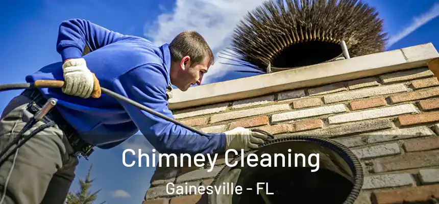 Chimney Cleaning Gainesville - FL
