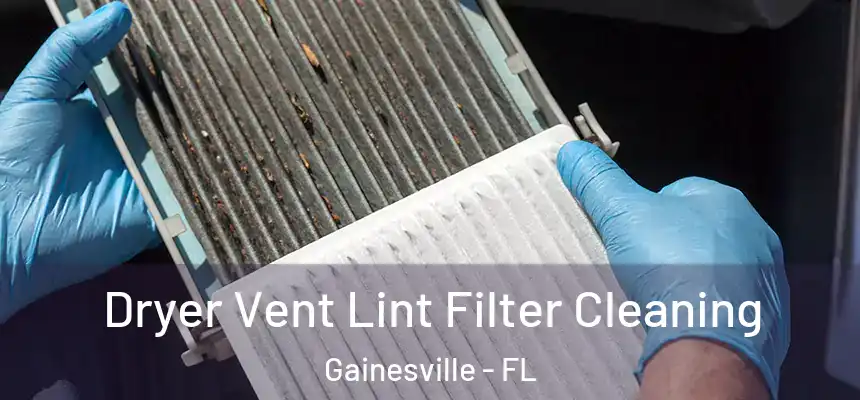  Dryer Vent Lint Filter Cleaning Gainesville - FL