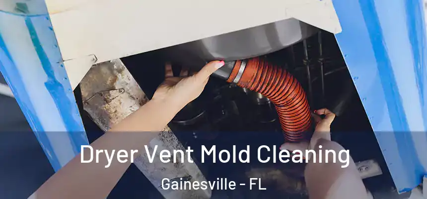  Dryer Vent Mold Cleaning Gainesville - FL