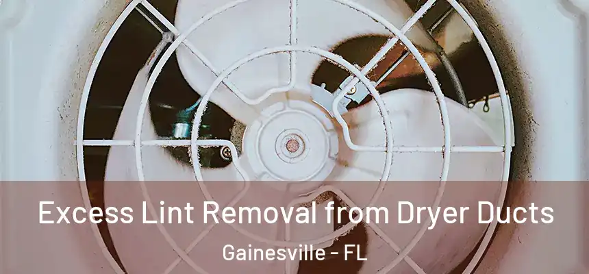 Excess Lint Removal from Dryer Ducts Gainesville - FL