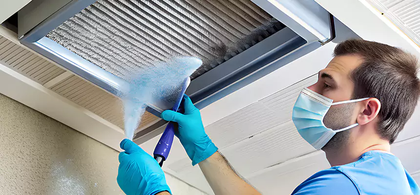 Proactive Dryer Vent & Auxiliary Duct Pollen Cleanup in Gainesville, FL