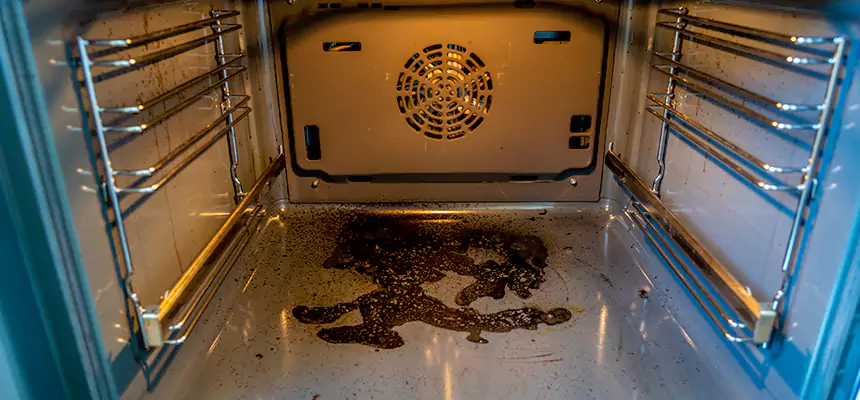 Our Dryer Vent Mold Cleaning Services in Gainesville, FL