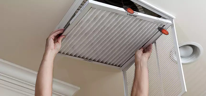 Our Insect Removal from Air Ducts Services in Gainesville, FL