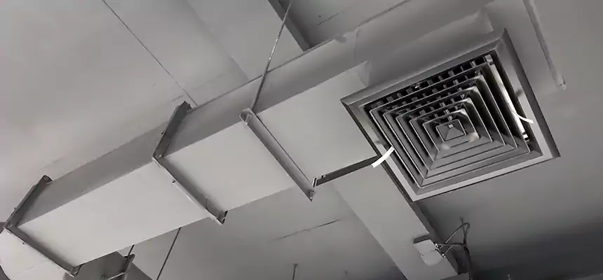 Our Pest Removal From Ducts Services in Gainesville, FL