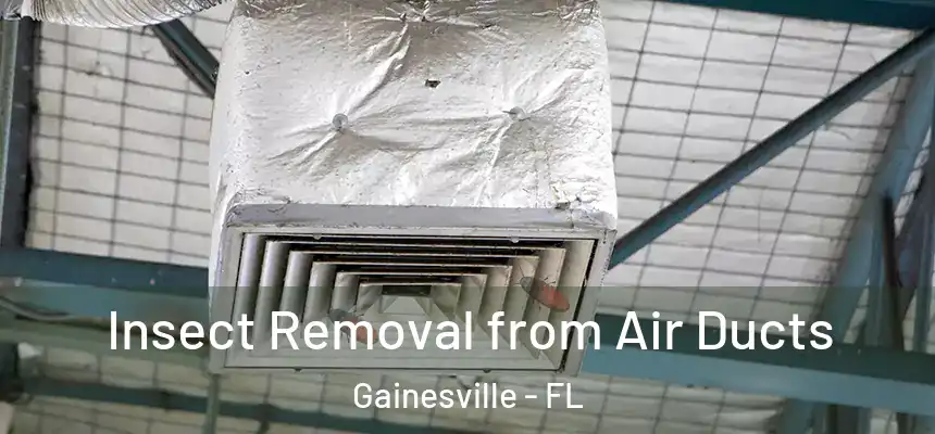 Insect Removal from Air Ducts Gainesville - FL