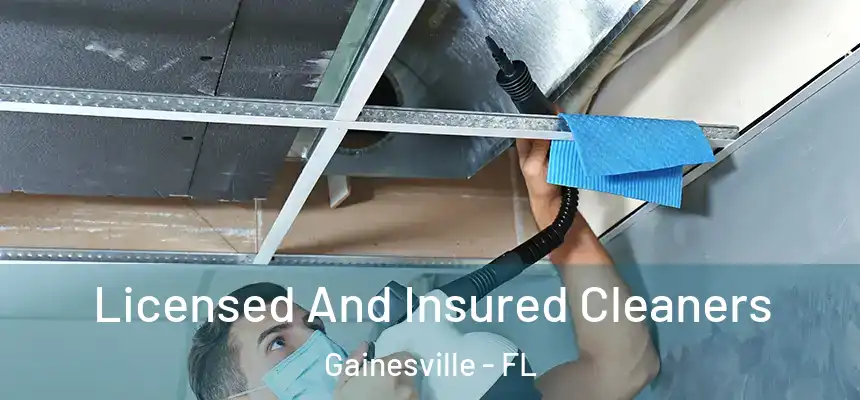 Licensed And Insured Cleaners Gainesville - FL