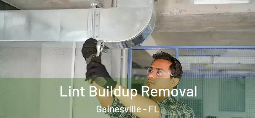  Lint Buildup Removal Gainesville - FL