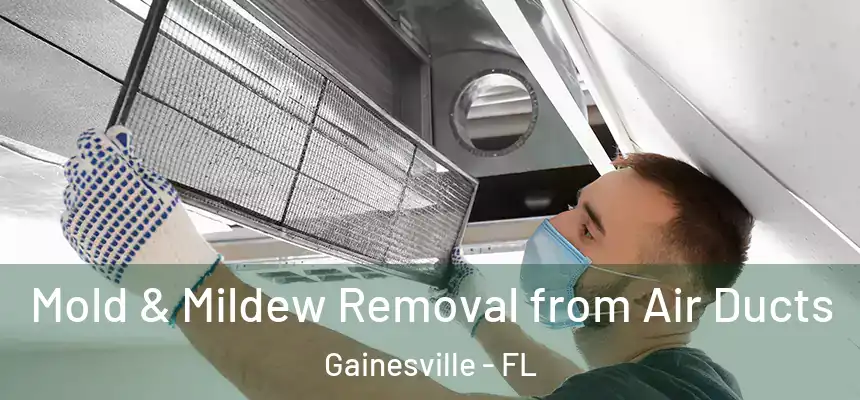  Mold & Mildew Removal from Air Ducts Gainesville - FL