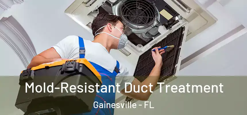 Mold-Resistant Duct Treatment Gainesville - FL