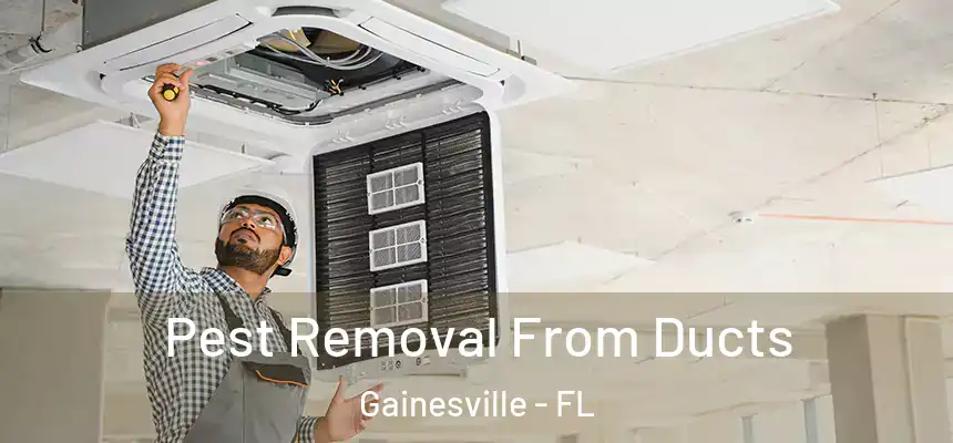 Pest Removal From Ducts Gainesville - FL