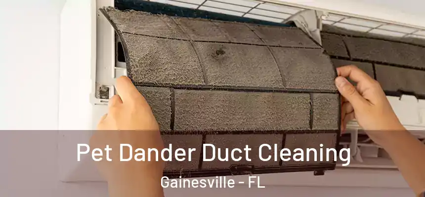  Pet Dander Duct Cleaning Gainesville - FL