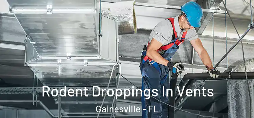 Rodent Droppings In Vents Gainesville - FL