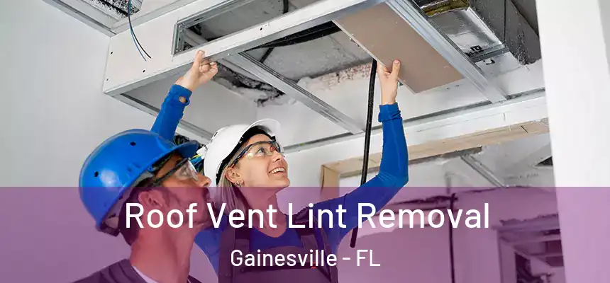  Roof Vent Lint Removal Gainesville - FL