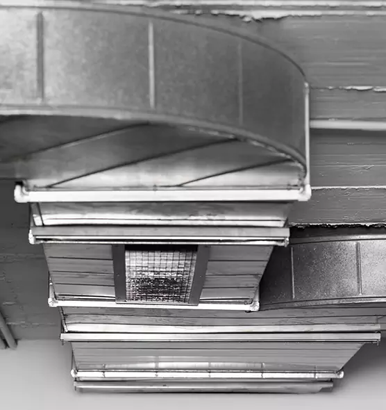 Professional Air Duct Pet Hair Removal in Gainesville, FL