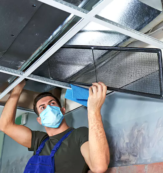 Professional Air Duct Pollen Cleaning in Gainesville, FL