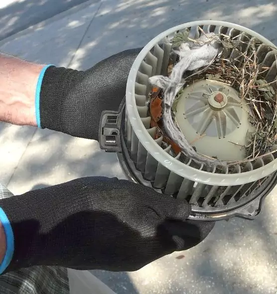 About Air Duct Rat Removal in Gainesville, FL