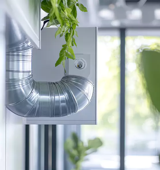 Professional Eco-Friendly Duct Cleaning Services in Gainesville, FL