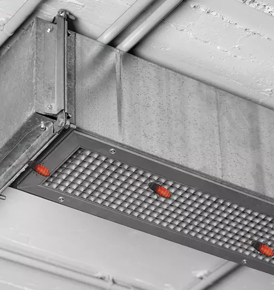 Affordable Insect Removal from Air Ducts in Gainesville, FL
