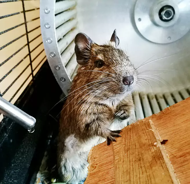 Why Homeowners & Businesses Trust Us Gainesville, FL