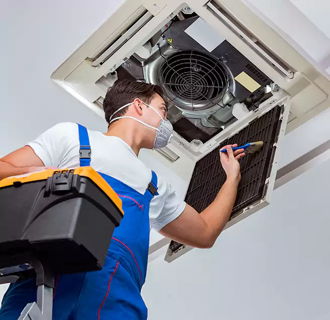 Why Homeowners & Businesses Trust Us in Gainesville, FL