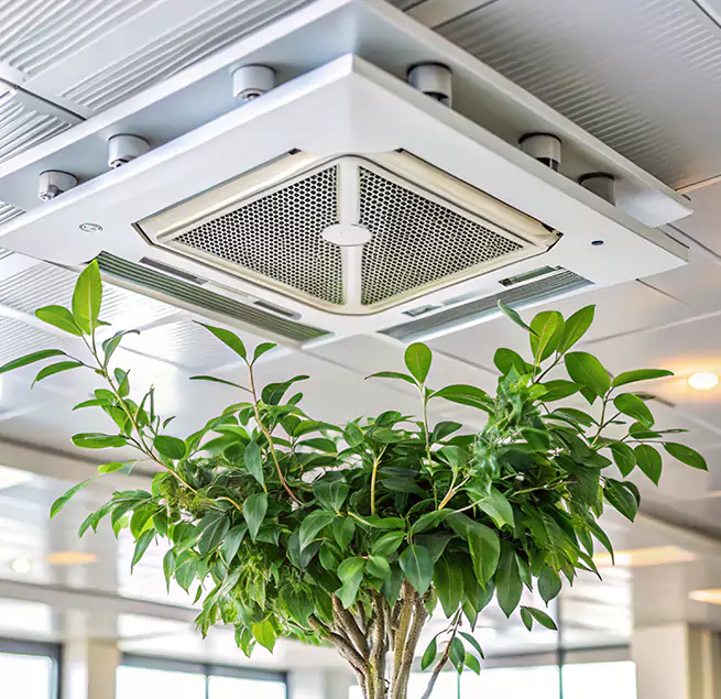 Why Homeowners & Businesses Trust Us in Gainesville, FL?