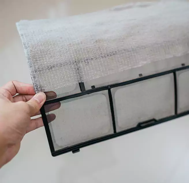 Why Homeowners & Businesses Trust Us in Gainesville, FL?