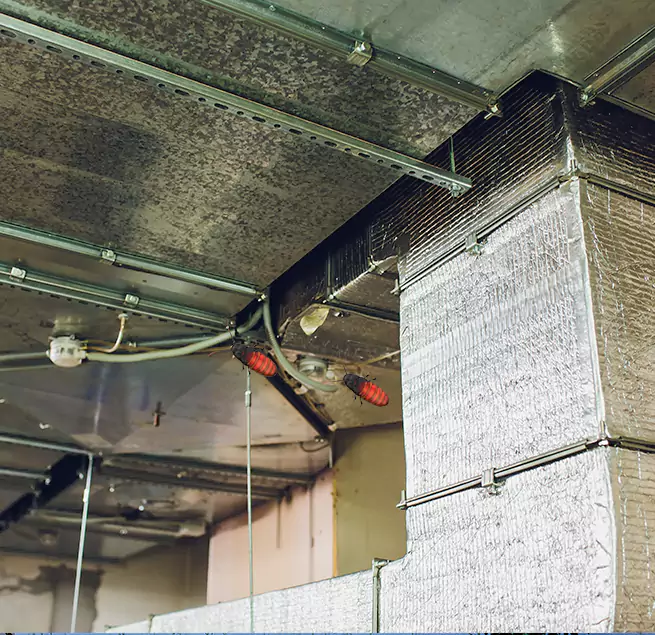 Why Homeowners & Businesses Trust Us Gainesville, FL?